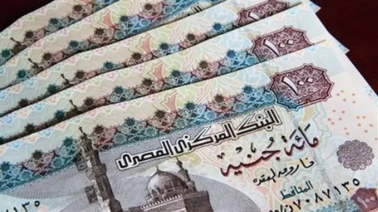 برنامج تكافل وكرامة: 3 فئات مستفيدة في مصر ومنح جديدة تنتظرهم